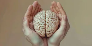 Healthy Brain Image